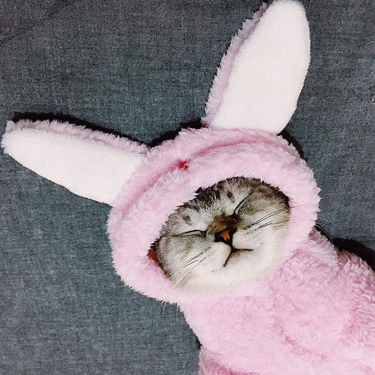 Pijama Polar para Mascotas Minnie Love