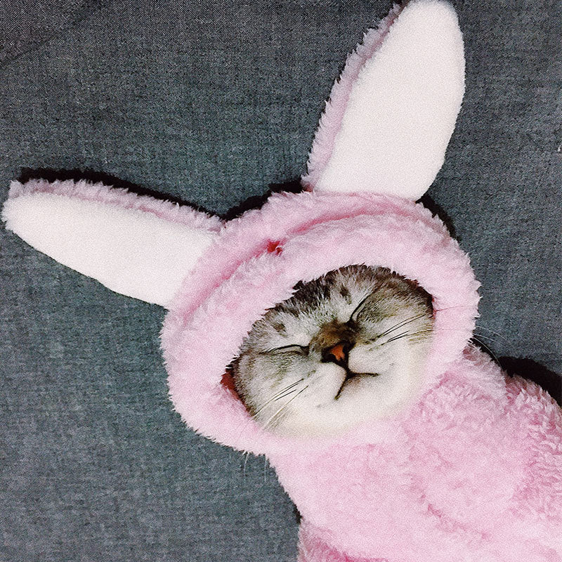 Pijama Polar para Mascotas Minnie Love